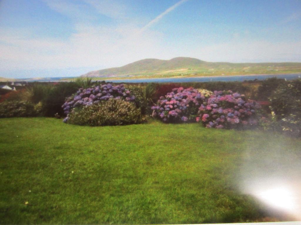 Ocean View B&B Killarney Ngoại thất bức ảnh